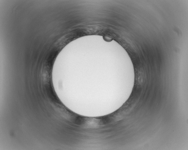 X0000114660226200911171117