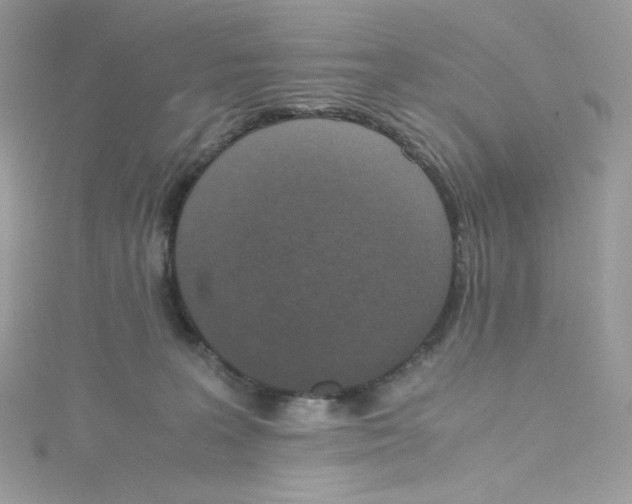 X0000114660227200911171117