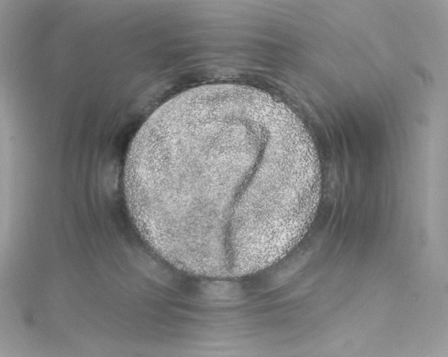 X0000114660230200911171117