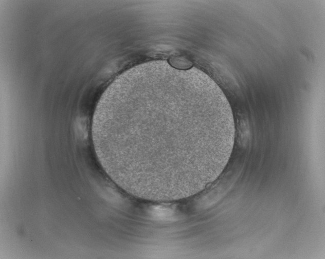 X0000114660232200911171117