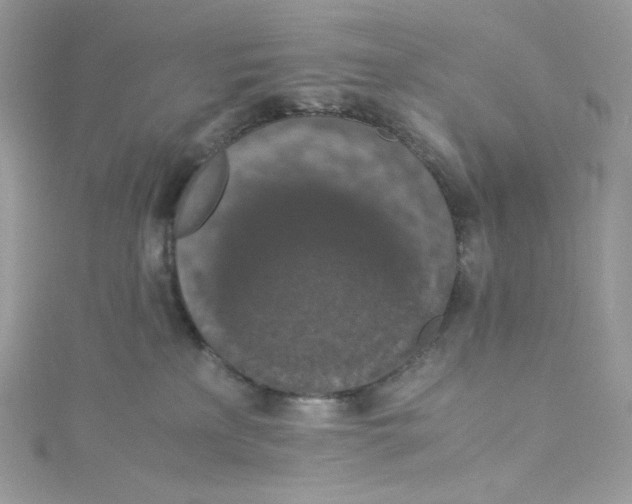 X0000114660233200911171117