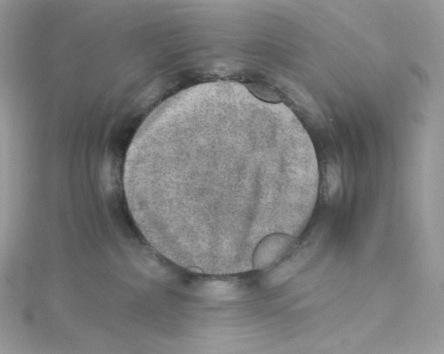 X0000114660236200911171117