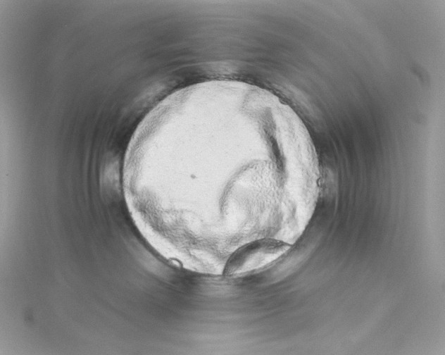 X0000114660238200911171117