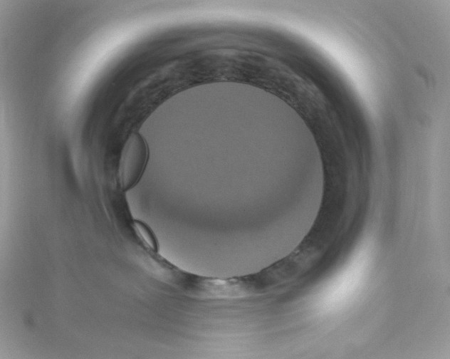 X0000114660239200911171117