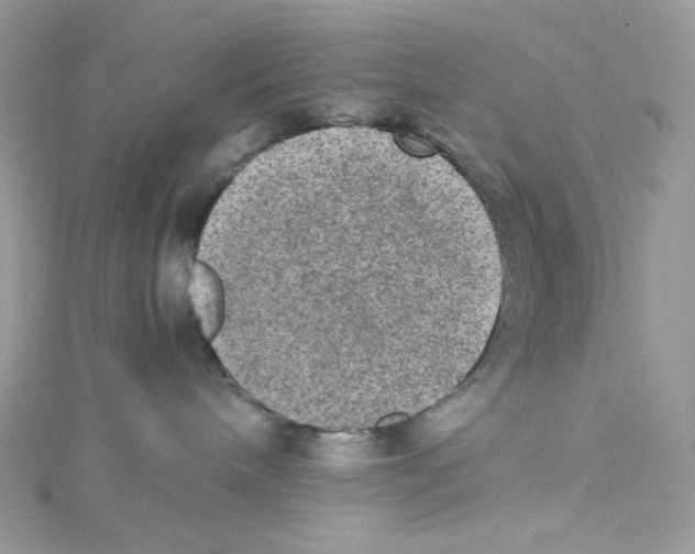 X0000114660240200911171117