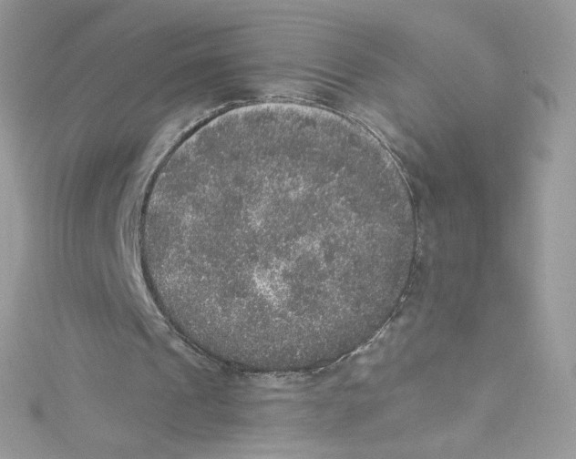 X0000114660241200911171116