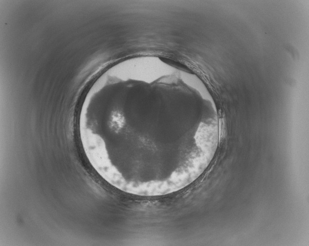 X0000114660243200911171116