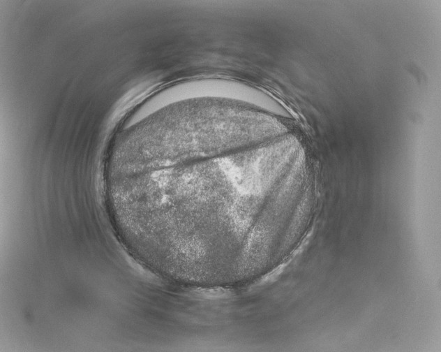 X0000114660245200911171116