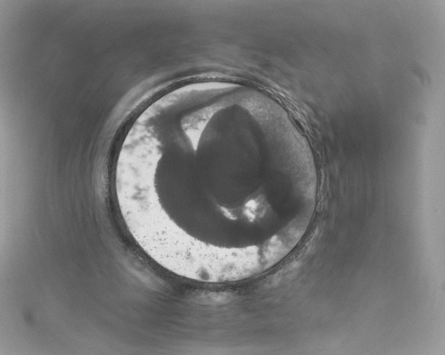 X0000114660247200911171116