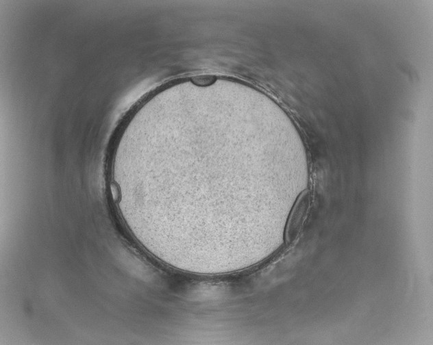 X0000114660248200911171116