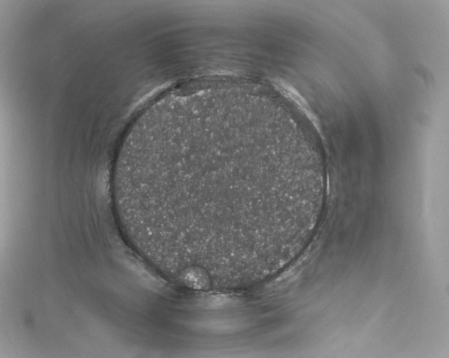 X0000114660249200911171116