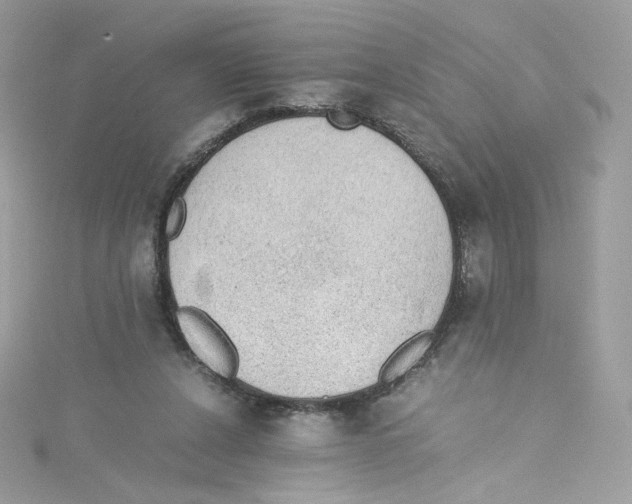 X0000114660256200911171116