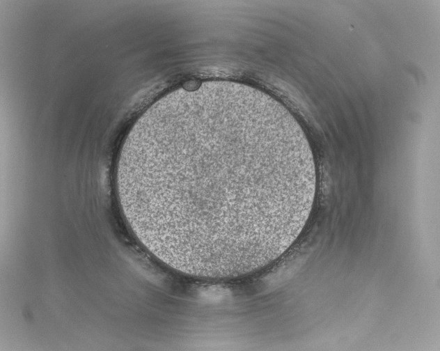 X0000114660258200911171116