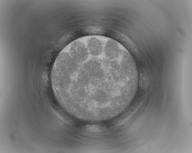 X0000114660259200911171116