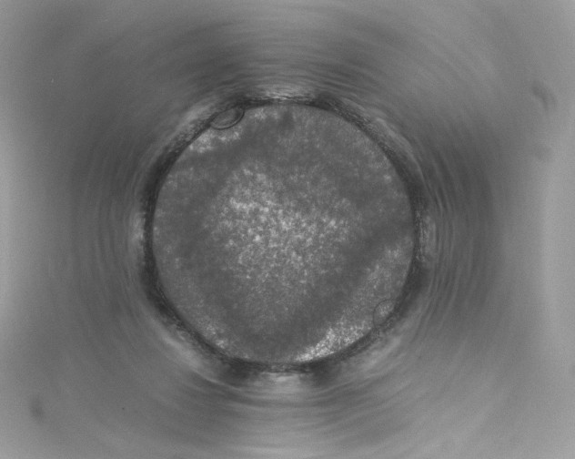 X0000114660260200911171116