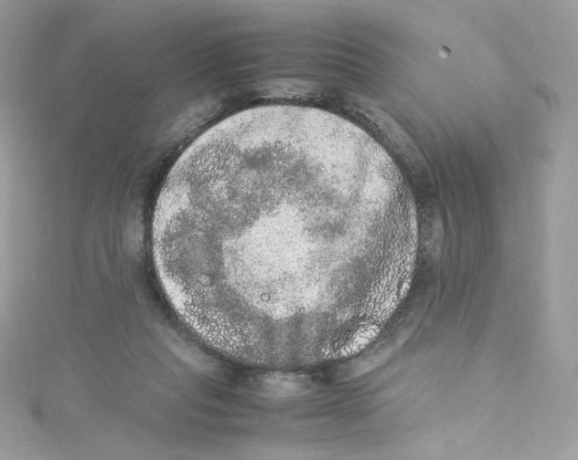 X0000114660261200911171116