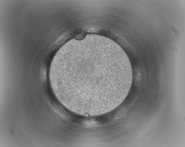 X0000114660262200911171116