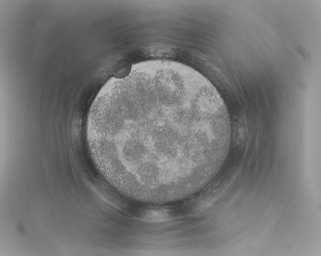 X0000114660263200911171116