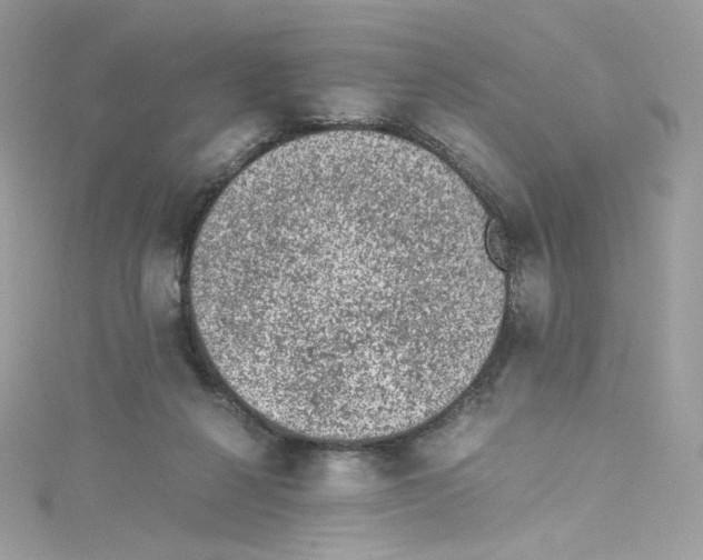 X0000114660264200911171116