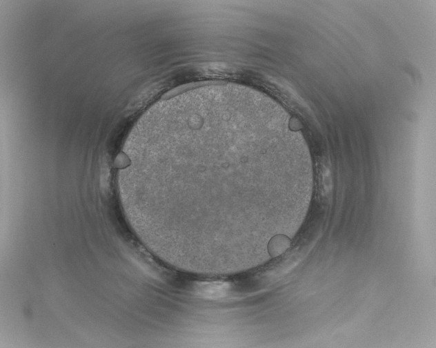 X0000114660266200911171116