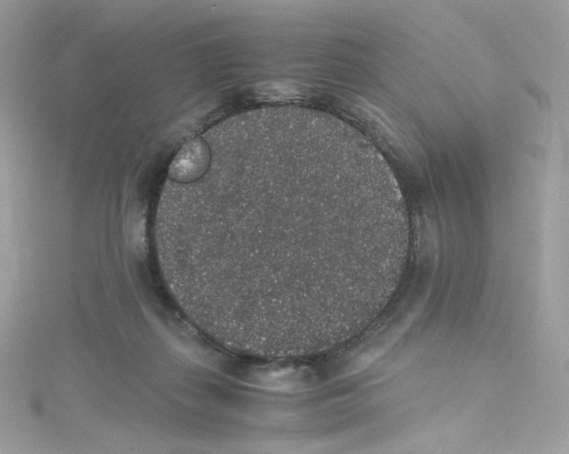 X0000114660267200911171116