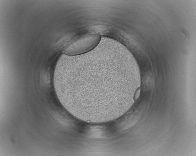 X0000114660268200911171116