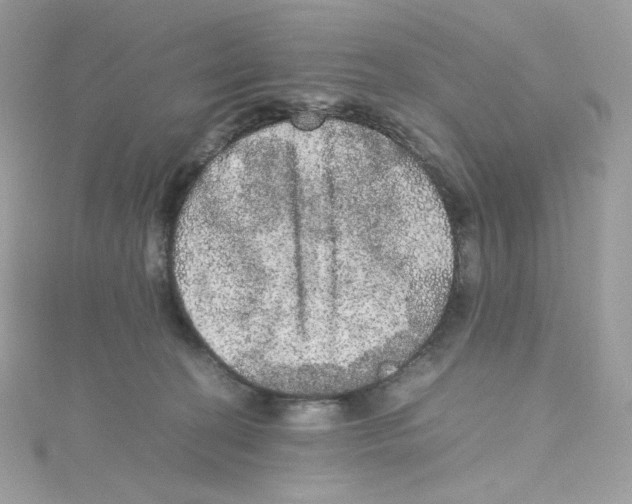 X0000114660274200911171117