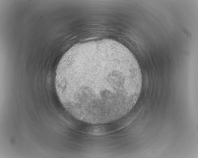 X0000114660275200911171117