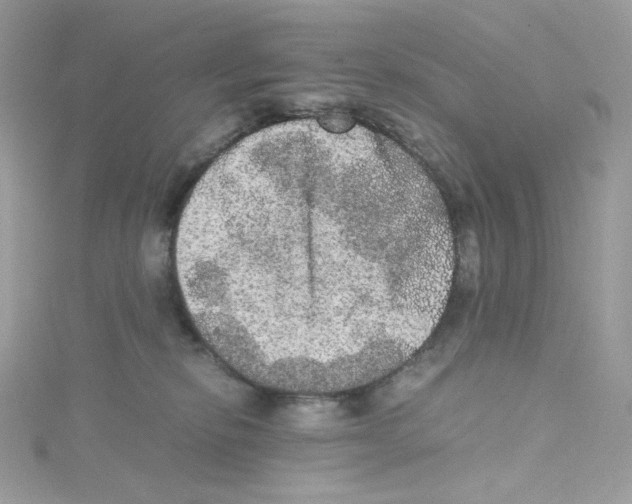 X0000114660278200911171117