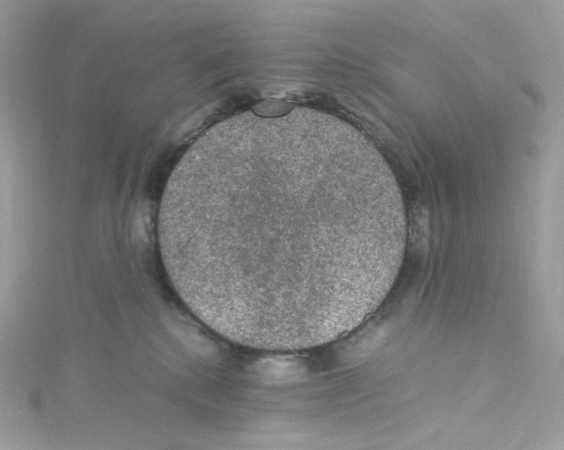 X0000114660280200911171117