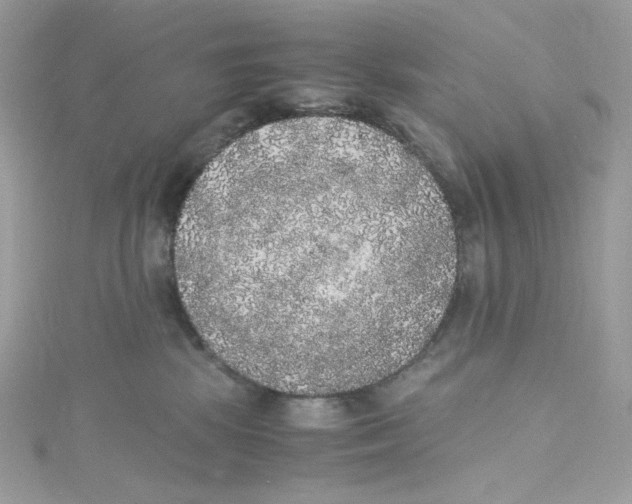 X0000114660281200911171117