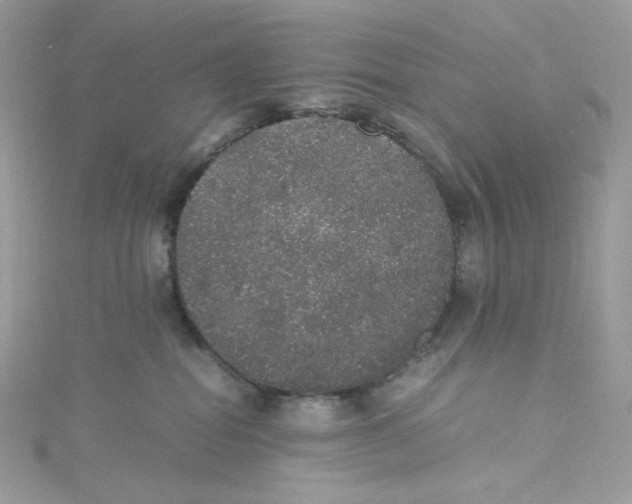 X0000114660282200911171117