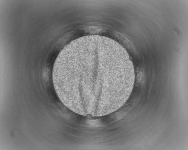 X0000114660283200911171117