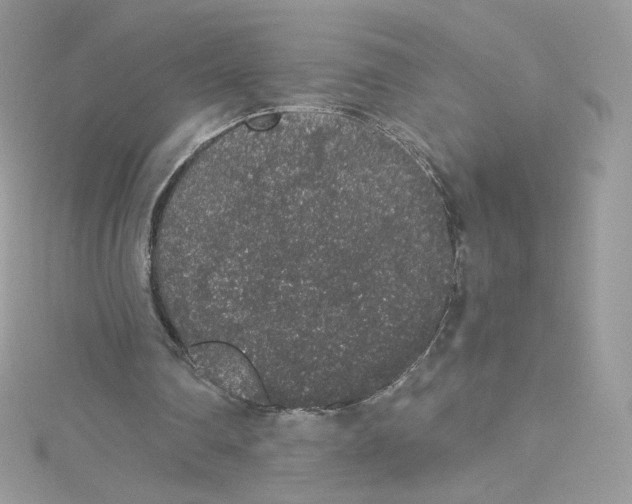 X0000114660290200911171116