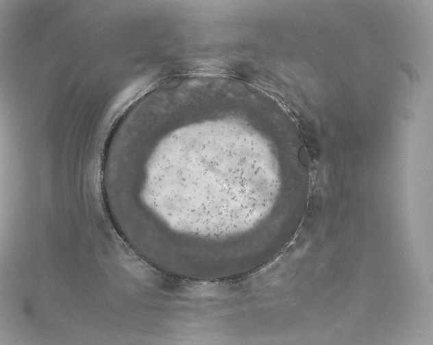 X0000114660293200911171116