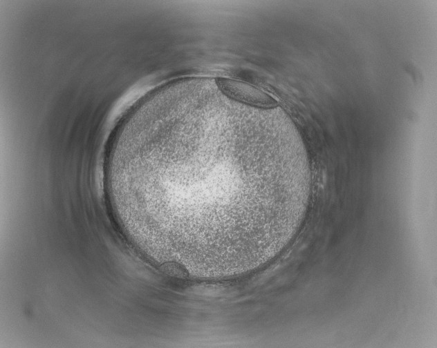 X0000114660294200911171116