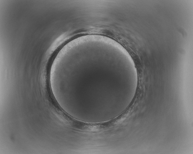 X0000114660295200911171116