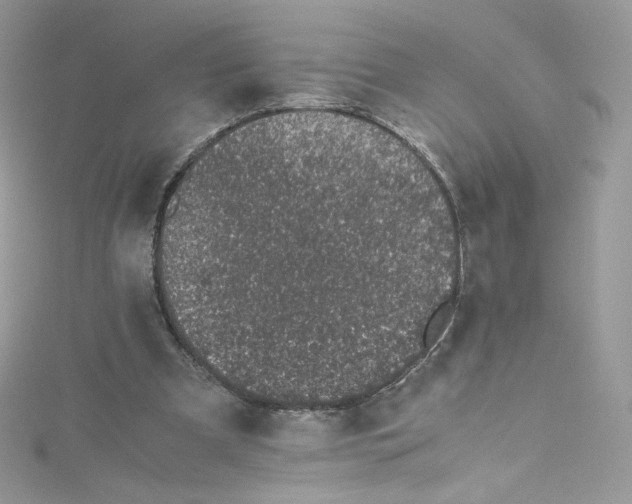 X0000114660297200911171116