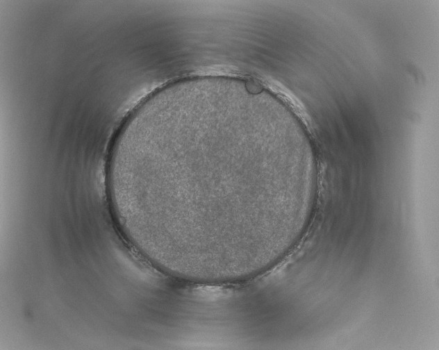 X0000114660298200911171116