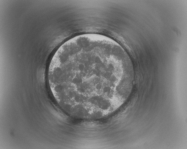 X0000114660299200911171116