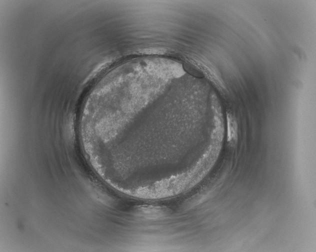 X0000114660300200911171116