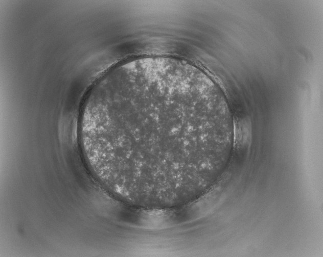 X0000114660301200911171116