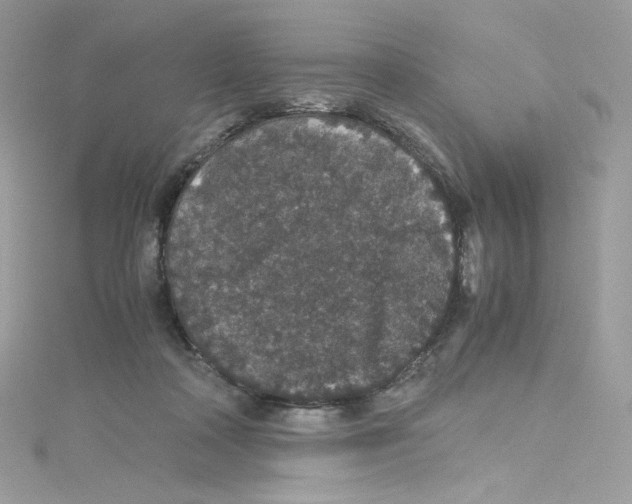 X0000114660314200911171116