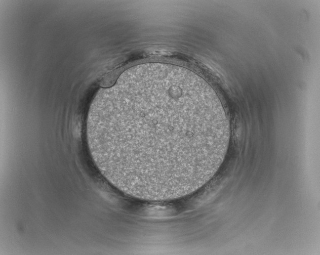 X0000114660315200911171116