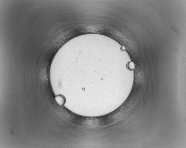 X0000114660317200911171116