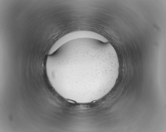 X0000114660320200911171116