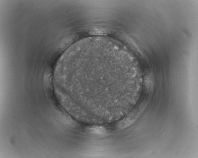 X0000114660322200911171116