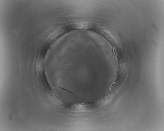 X0000114660325200911171116