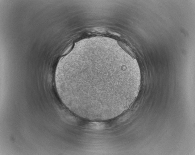 X0000114660328200911171116