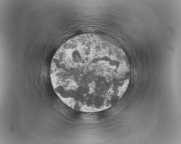 X0000114660331200911171116